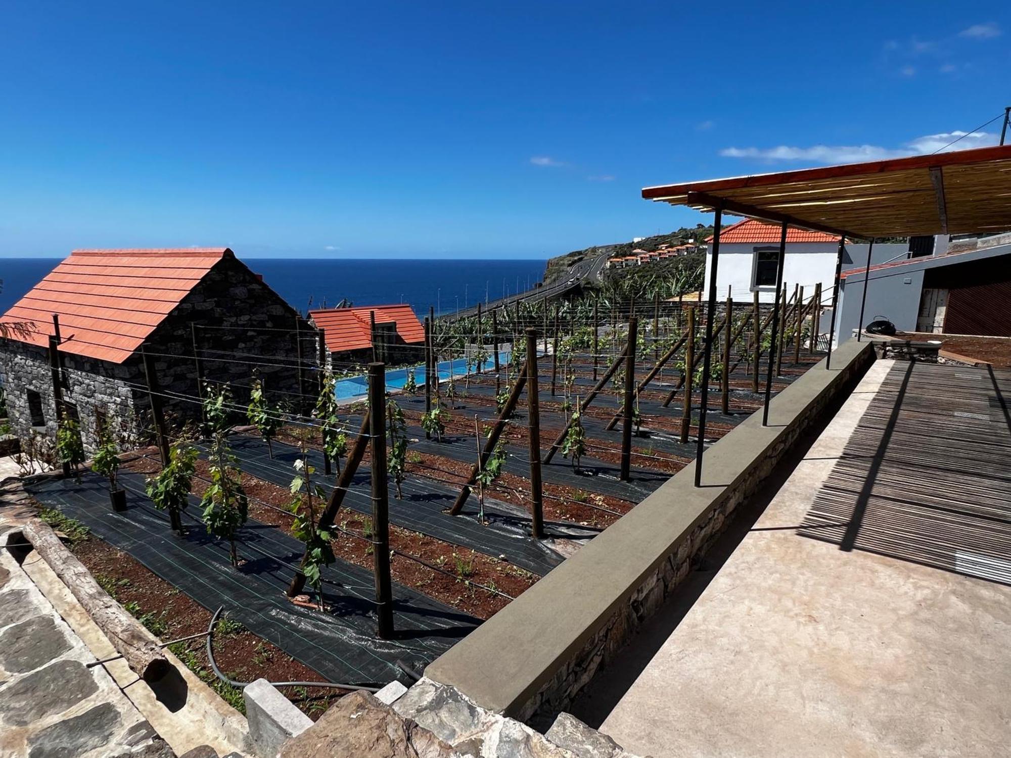 Casas Do Laranjo- Cottages & Infinity Pool Gaula Zewnętrze zdjęcie